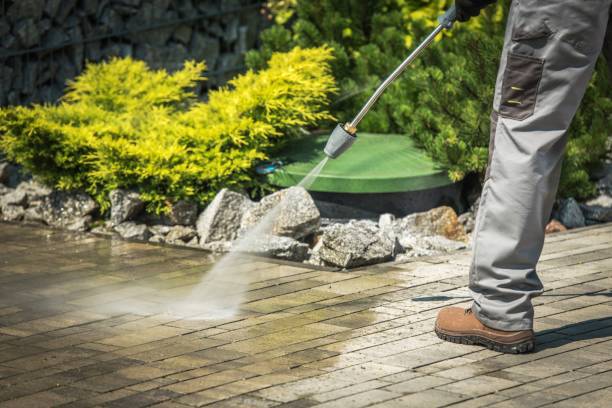 Best Residential House Exterior Washing  in Dekal, IL