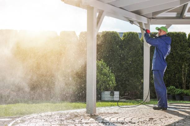 Best Pre-Holiday Cleaning  in Dekal, IL